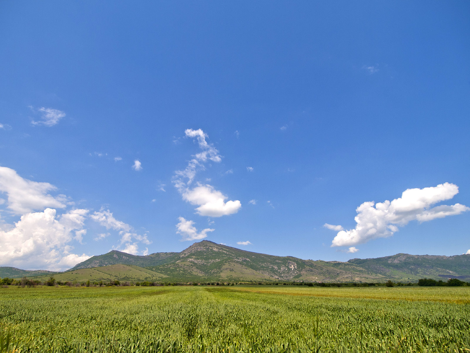 Prilep Field (Photo license: CC BY-NC 2.0)